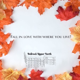 Fall in love with where you live!